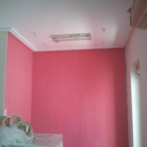 Color Rosa Frambuesa | PINTURAS URBANO - PINTORES EN MADRID – PINTOR EN ...