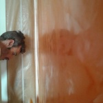 Estuco Veneciano Veteado Color Naranja (1)