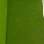 Estuco Veneciano Verde en Paredes de Wc (5)