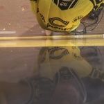 Estuco Veneciano Original a rayas amarillas y negras Borussia Dortmund (49)