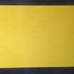 Estuco Veneciano Original a rayas amarillas y negras Borussia Dortmund - Terminado dia (22)