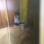 Muestras de Estuco Negro - Amarillo (4)