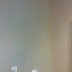 Pared imprimacion cola vegeltal (1)