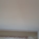 2 manos de plastico sideral s-500 balnco en techos (13)