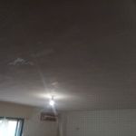 2 mano de aguaplas rellenos en techos (7)