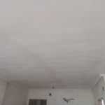 Aplicado 1 mano de aguaplas sobre techos de veloglas (5)