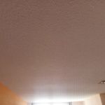 Estado Gotele en techos y paredes piso Pinto (7)