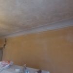 Aceite de linaza en techos y paredes (10)
