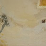 Aceite de linaza en techos y paredes (16)