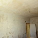 Aceite de linaza en techos y paredes (22)