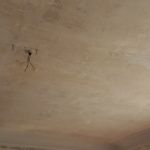 Aceite de linaza en techos y paredes (5)