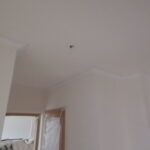 3 mano de macyplast en techos y paredes (20)