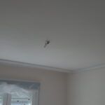 3 mano de macyplast en techos y paredes (7)