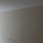 Aplicado 1 mano de plastico en techos y paredes (3)