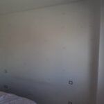 Lijado de pared